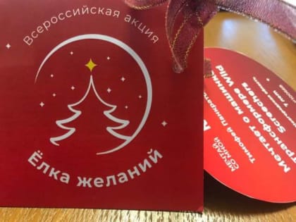 Члены правительства Новгородской области приняли участие в акции «Ёлка желаний»