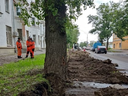 Дорожные рабочие повредили деревья на Великой улице