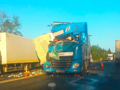 Под Крестцами на М-10 столкнулись четыре большегруза