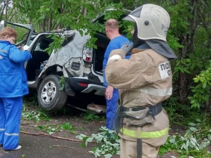 На месте ДТП с погибшим в Любытинском районе работали спасатели