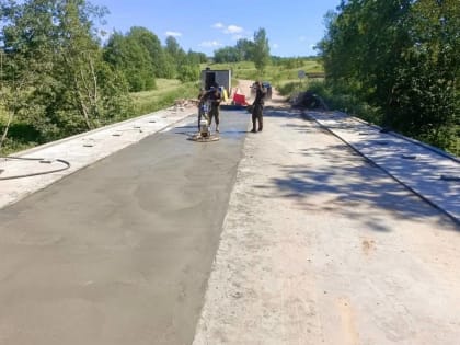 В деревне Холмы Валдайского района временно закроют мост через реку Лужонка