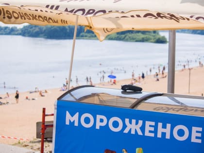 Дождь или зной – новгородцев предупредили об аномальных температурах в первые дни лета