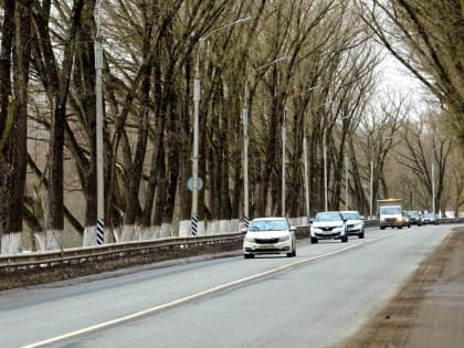 В Великом Новгороде появилась аллея Николая Антонова