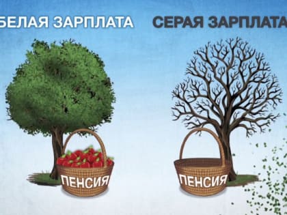 Белая и серая зарплата