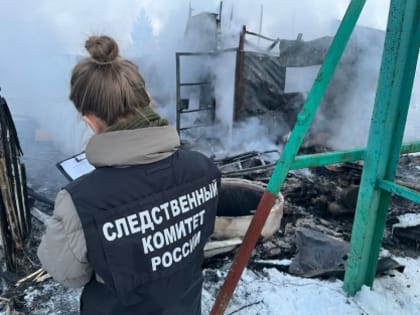 На пожаре в Чудовском районе погиб мужчина