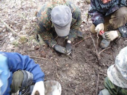 Московские поисковики в Старорусском районе обнаружили останки 24 солдат Красной армии