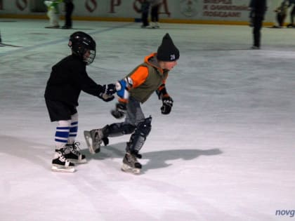 В России разработают законодательство по ограничению выезда за рубеж талантливых хоккеистов
