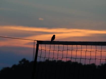 У школы в старорусском селе Залучье построят спортплощадку «Движение вверх»