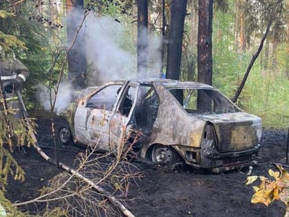 В Демянском районе в загоревшемся автомобиле погибли два человека