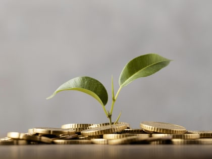 Продолжается прием заявок на региональный конкурс по грантовой поддержке молодежных проектов