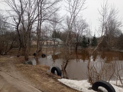 Уровень Холовы в районе посёлка Крестцы достиг 300 см над нулём поста