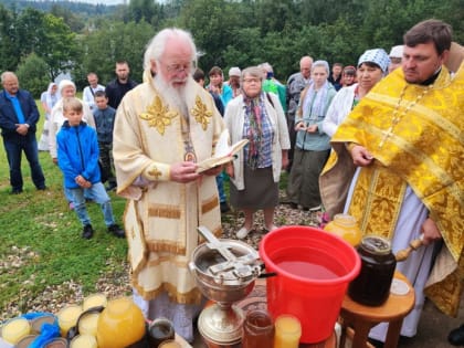 Митрополит Лев совершил Литургию и освящение мёда в праздник Всемилостивого Спаса 