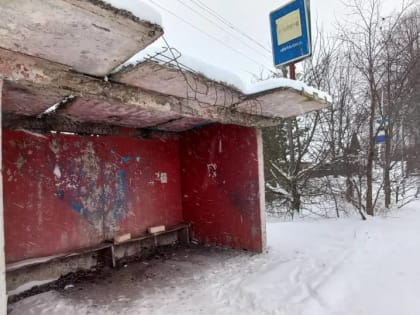 «Единая Россия» взяла на контроль опасную для жизни остановку в новгородской деревне