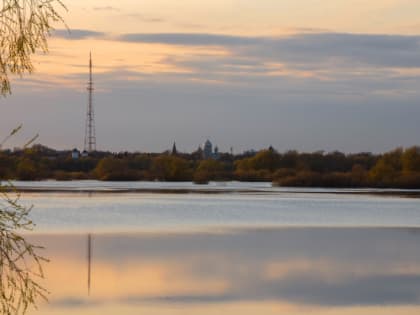 Неделя в сети: могилка питомца в парке и споры о благоустройстве Царицынского источника