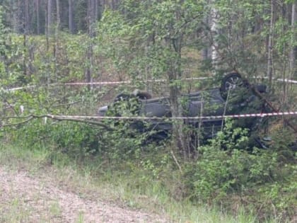 Сегодня ночью в Новгородской области произошли два смертельных ДТП