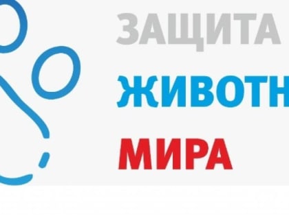 Зверское убийство собаки, возмутившее  зоозащитников-сторонников "Единой России", обернулось уголовным делом