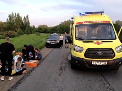 В минздраве региона рассказали о спасении пострадавших в ДТП в Боровичском районе