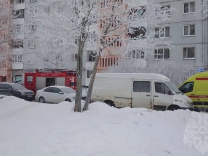 На пожаре в Великом Новгороде спасли троих детей