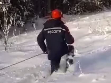 Волки, лоси, сугробы, мороз – энергетики Новгородчины продолжают трудиться в экстремальных условиях