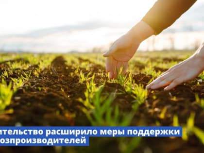Для сельхозпроизводителей расширили меры поддержки