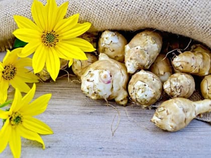 Топ-5 продуктов для здорового пищеварения