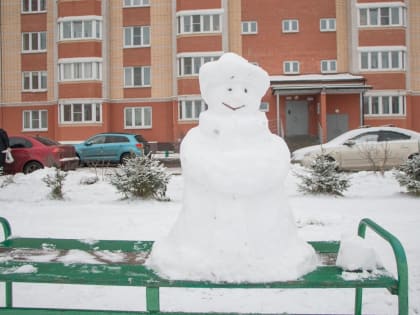 В Великом Новгороде наконец-то установилась стандартная зимняя погода