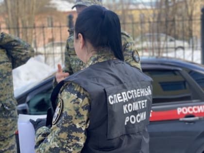 В Великом Новгороде завершено расследование уголовного дела о сходе снега на женщину и ребёнка