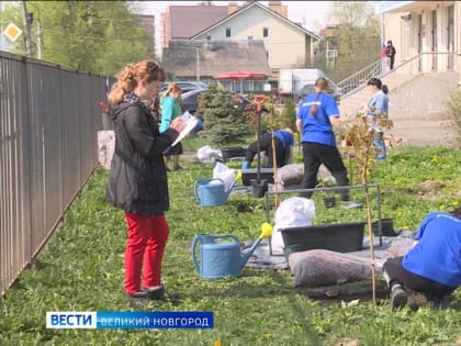 В Новгородской области продолжается конкурс "Абилимпикс". Свое мастерство показывают садовники