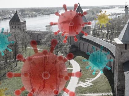 Больше тысячи заболевших за сутки: ковидный антирекорд Новгородской области