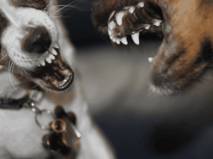 Осторожно: злой мужчина