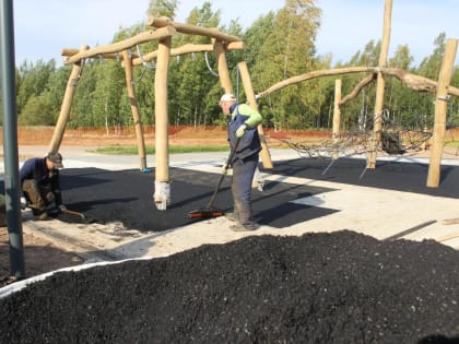Нацпроект "Жилье и городская среда": благоустройство городского парка в Псковском микрорайоне близится к завершению
