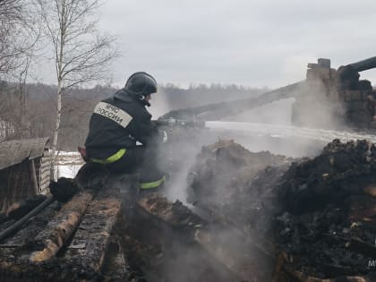 На пожаре в Крестецком районе погибли три человека