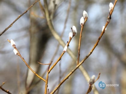 Грядёт тепло. Синоптик удивил прогнозом погоды на ближайшие дни