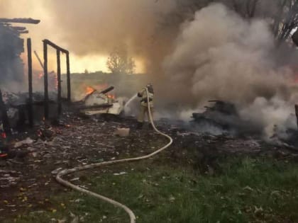 В Трубичине под Великим Новгородом пожарные тушат частный дом и баню