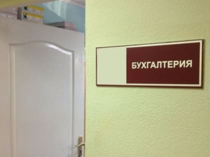 Дебет, кредит и сальдо: для 70 новгородских организаций финансовый год идёт сложнее обычного