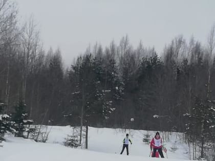 Соревнования по лыжным гонкам