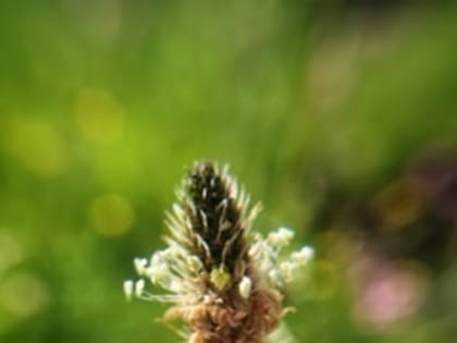 Завершён 49-й полевой сезон