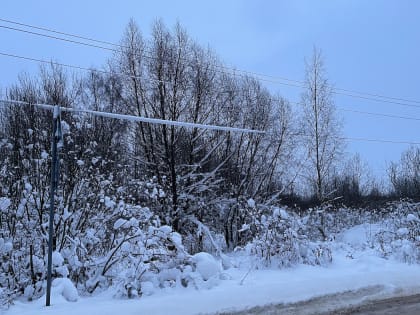 Без света в Новгородской области остались 218 населённых пунктов