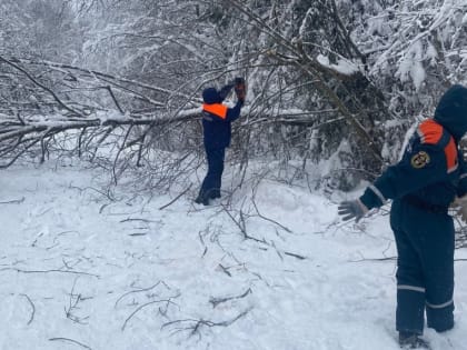 Более 700 жителей Новгородской области остаются без света из-за снегопада