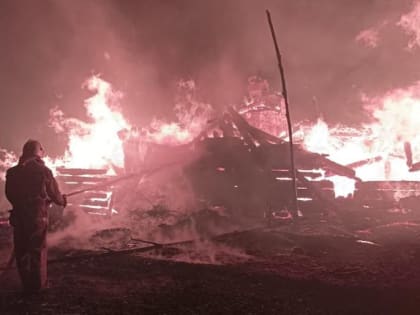 На пожаре в Хвойнинском районе погиб мужчина