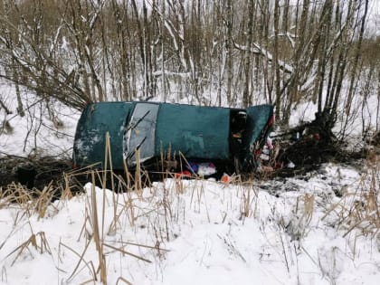 В Шимском районе в ДТП пострадал младенец