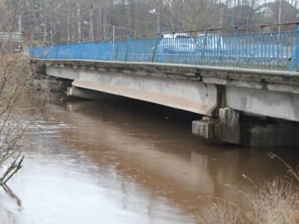 В посёлке Крестцы подтопило уже более 30 приусадебных участков