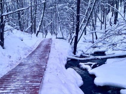 В Боровичском районе благоустроили памятники природы