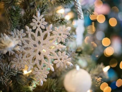 В Новгородской области стартовал благотворительный марафон «Рождественский подарок»