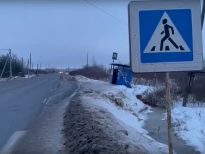 ГИБДД разыскивает свидетелей ДТП, в котором сбили ребенка на пешеходном переходе