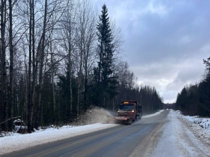 Жителей Новгородской области предупредили о переменчивой погоде в ближайшие дни
