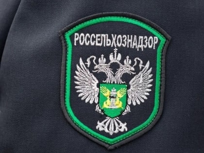 Экспорт муки из Новгородской области в Беларусь