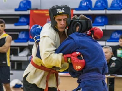 В Новгороде состоялся турнир по единоборствам «Чистый ковёр»