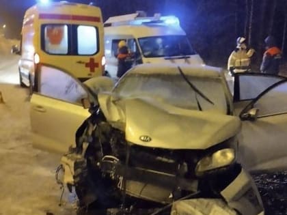 На трассе М10 в районе Мшаги легковушка врезалась в столб