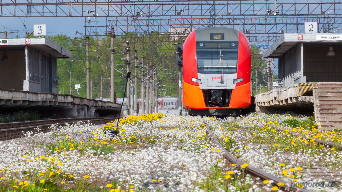 ласточка до санкт петербурга